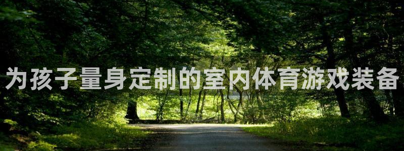 征途国际集团官网首页:为孩子量身定制的室内体育游戏装备