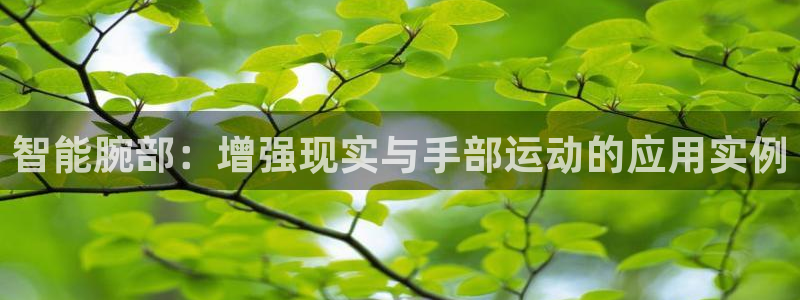 征途国际平台体育:智能腕部:增强现实与手部运动的应用实例