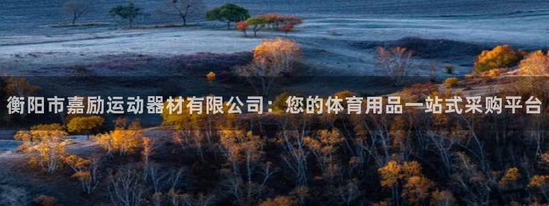 征途国际官网:衡阳市嘉励运动器材有限公司:您的体育用品一站式